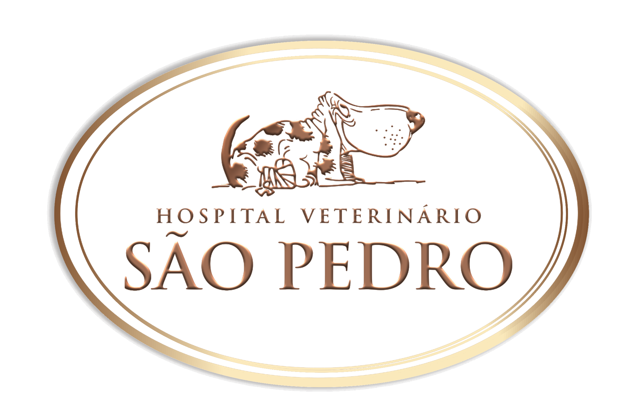 logo sem fundo completo